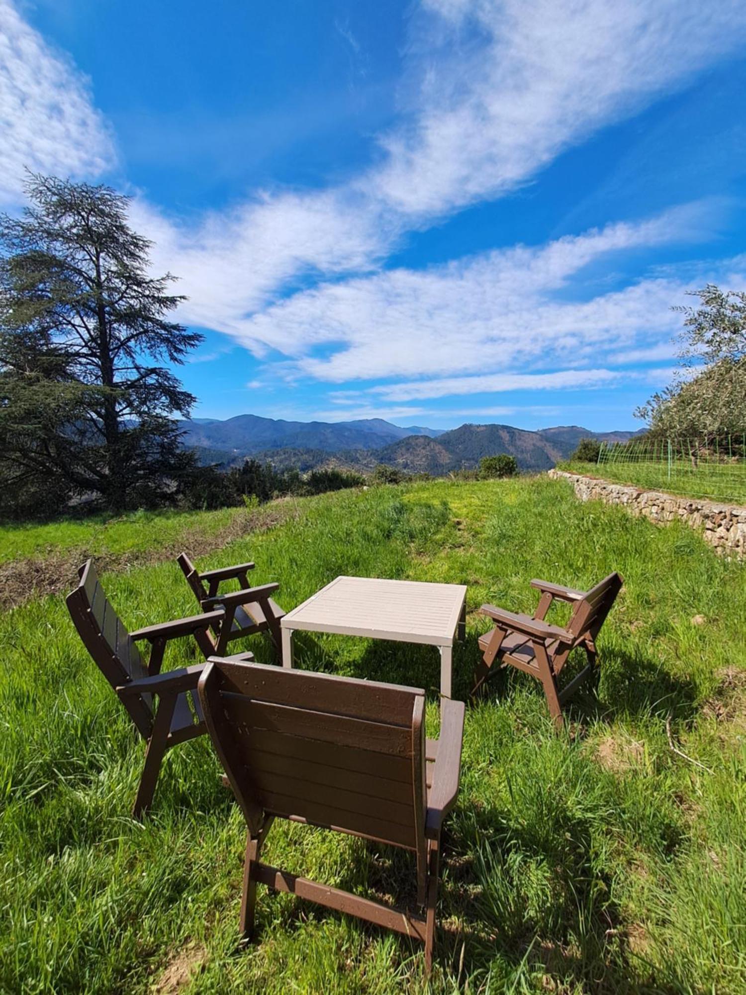 Chambre D'Hote Dans Mas Proche Anduze Cevennes Avec Piscine Mialet  Exterior foto
