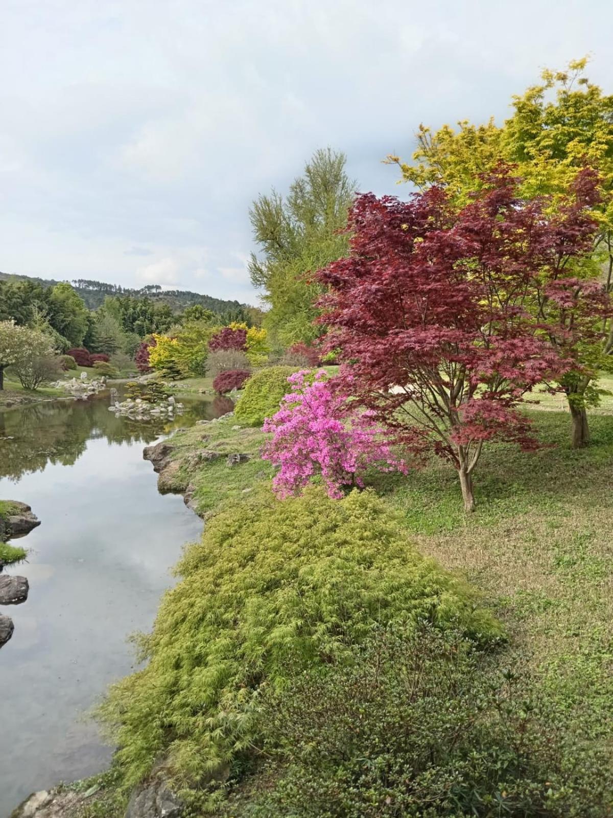 Chambre D'Hote Dans Mas Proche Anduze Cevennes Avec Piscine Mialet  Exterior foto