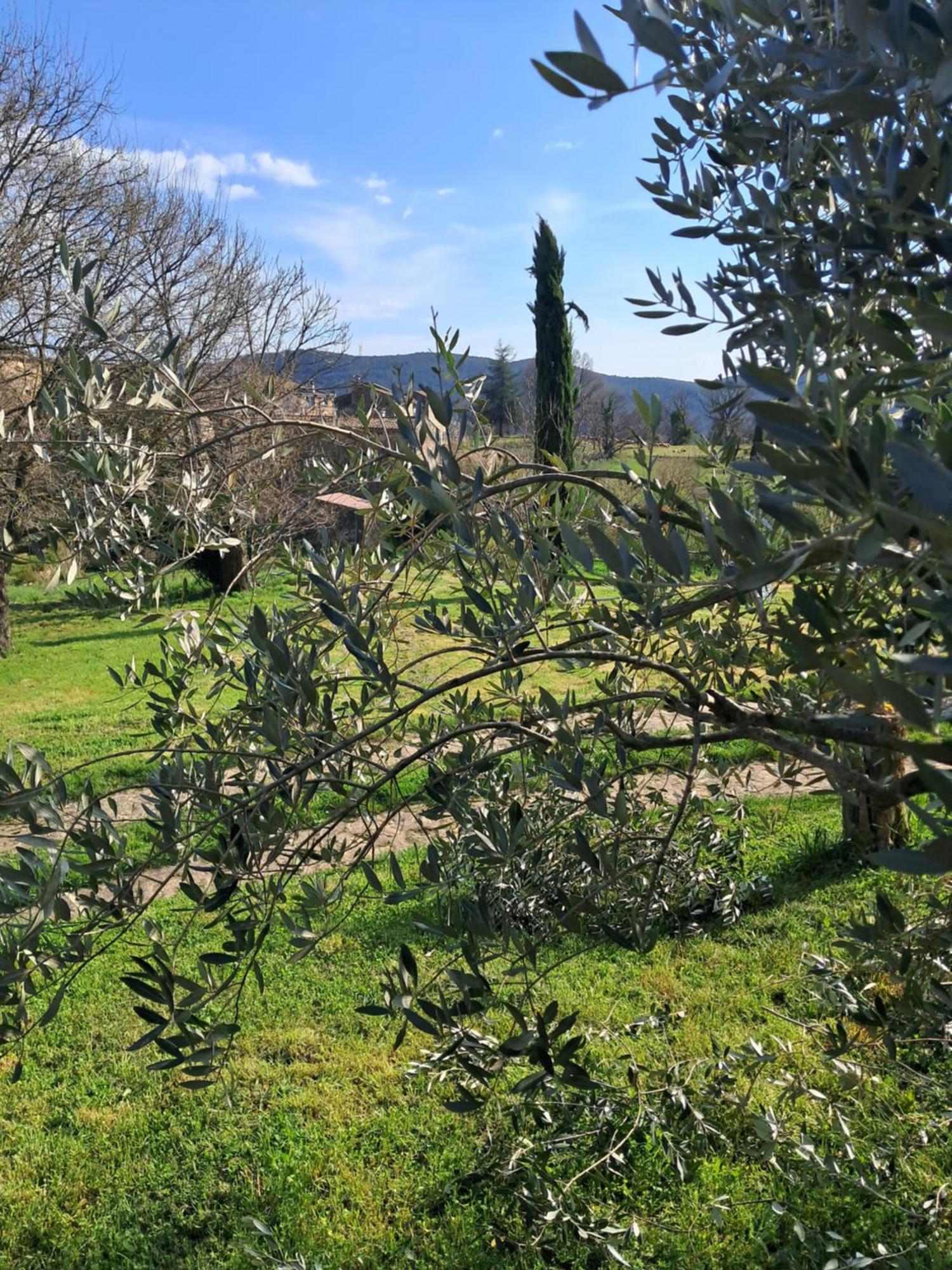 Chambre D'Hote Dans Mas Proche Anduze Cevennes Avec Piscine Mialet  Quarto foto
