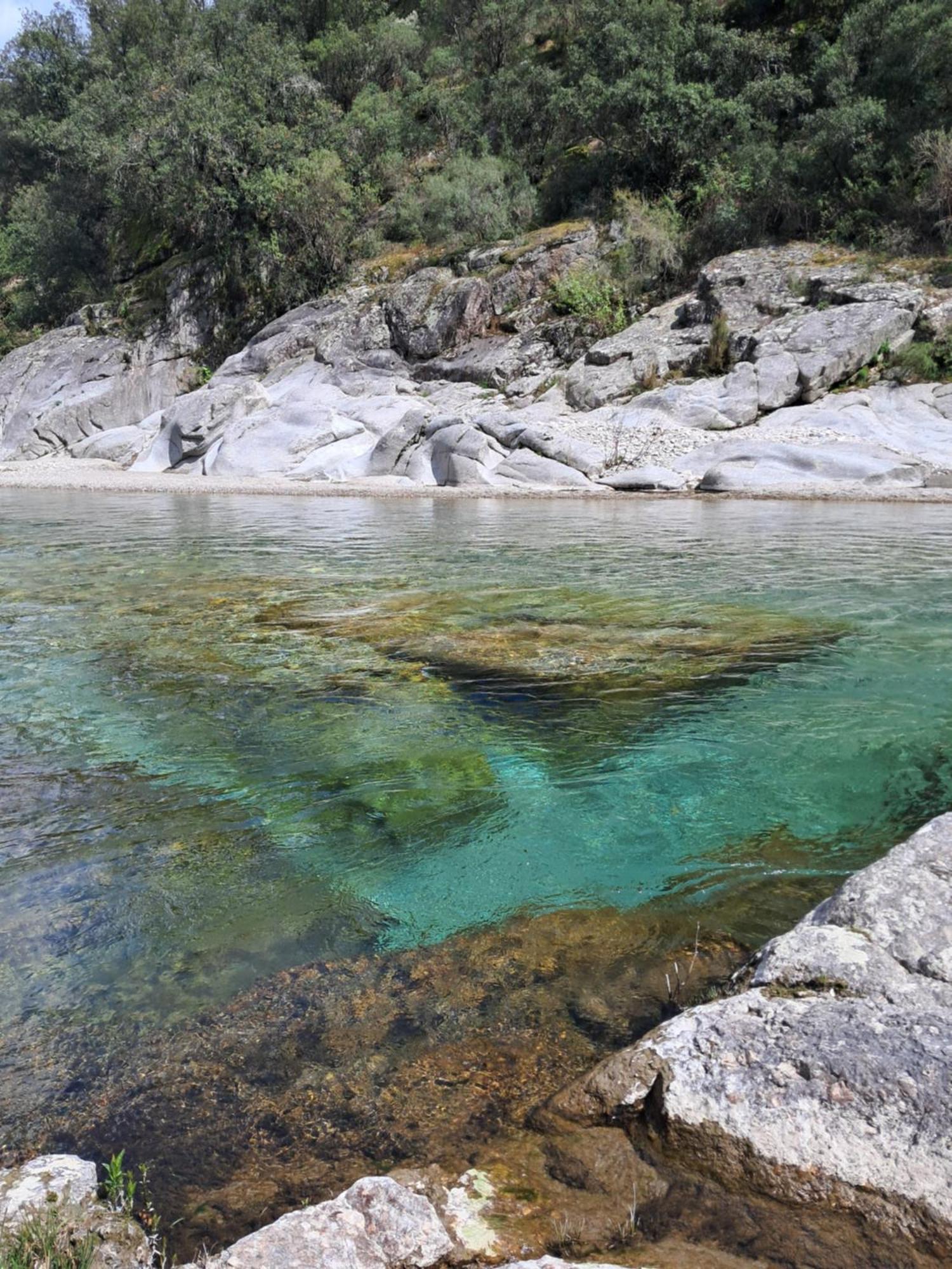 Chambre D'Hote Dans Mas Proche Anduze Cevennes Avec Piscine Mialet  Exterior foto